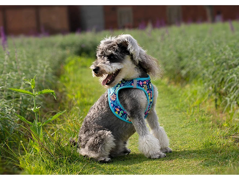 Truelove No-Pull Dog Harness – Soft Mesh, Reflective & Adjustable for Small to Medium Dogs