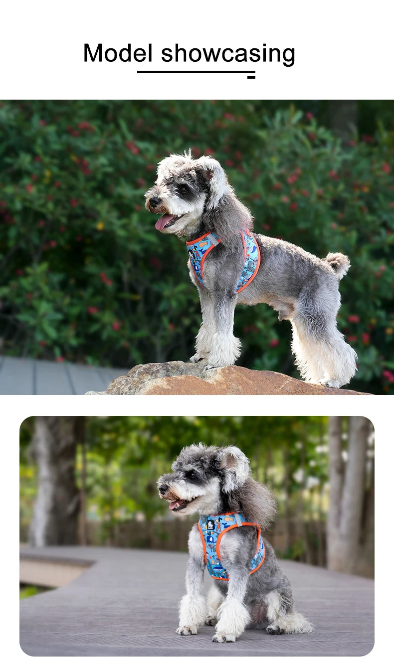 Truelove No-Pull Dog Harness – Soft Mesh, Reflective & Adjustable for Small to Medium Dogs