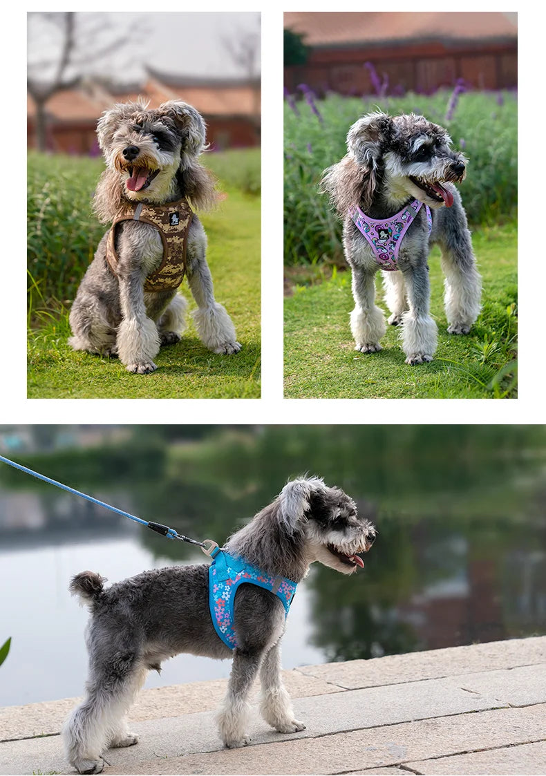 Truelove No-Pull Dog Harness – Soft Mesh, Reflective & Adjustable for Small to Medium Dogs