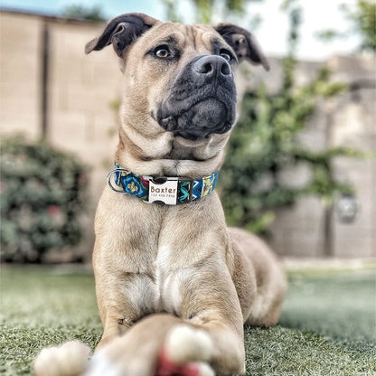 Custom Small Medium Large Dog Cat Collar Personalized Engraved Name ID Adjustable Nylon Puppy Collars Chihuahua Pug Dogs Collars