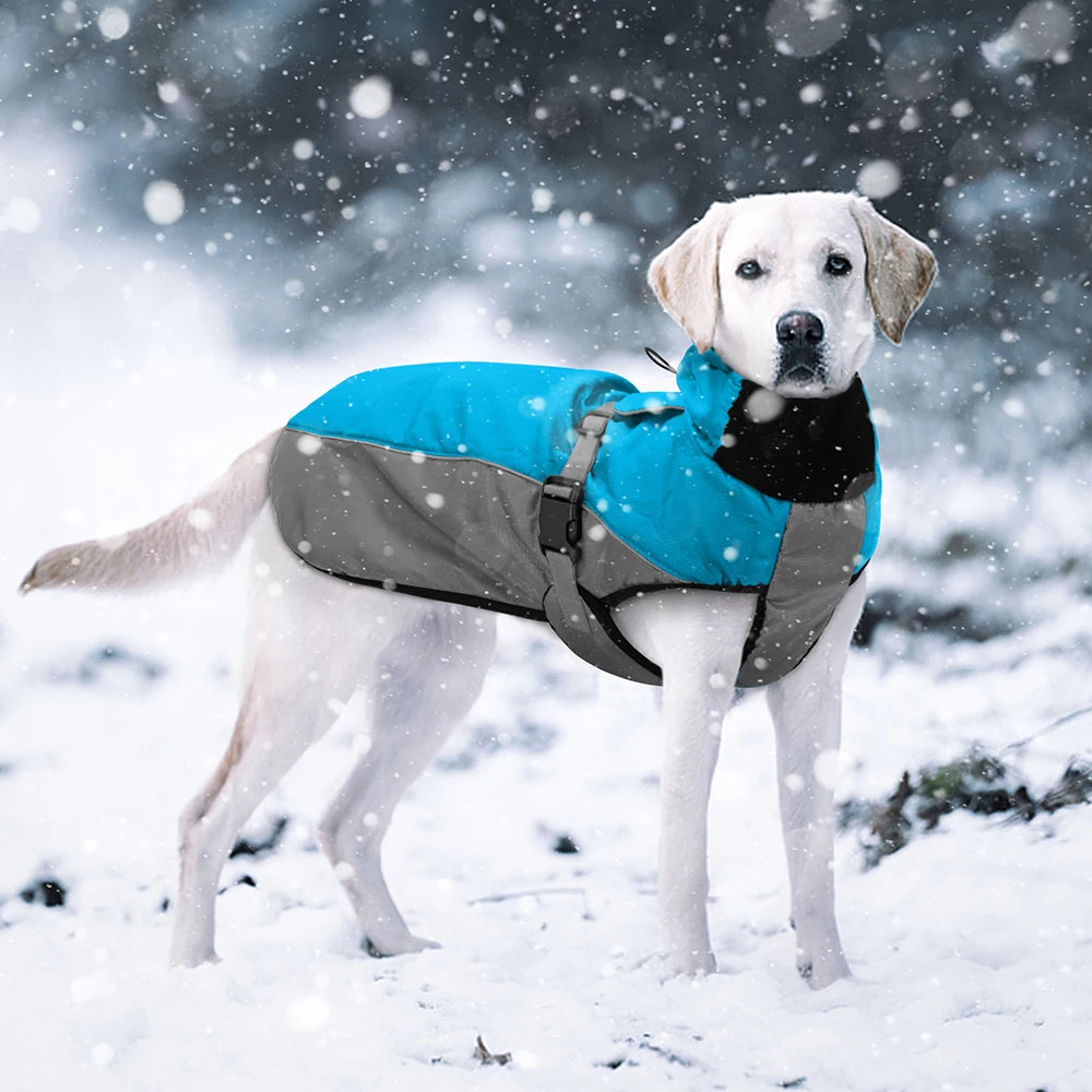 Waterproof Reflective Raincoat for Large Dogs – XL to 6XL