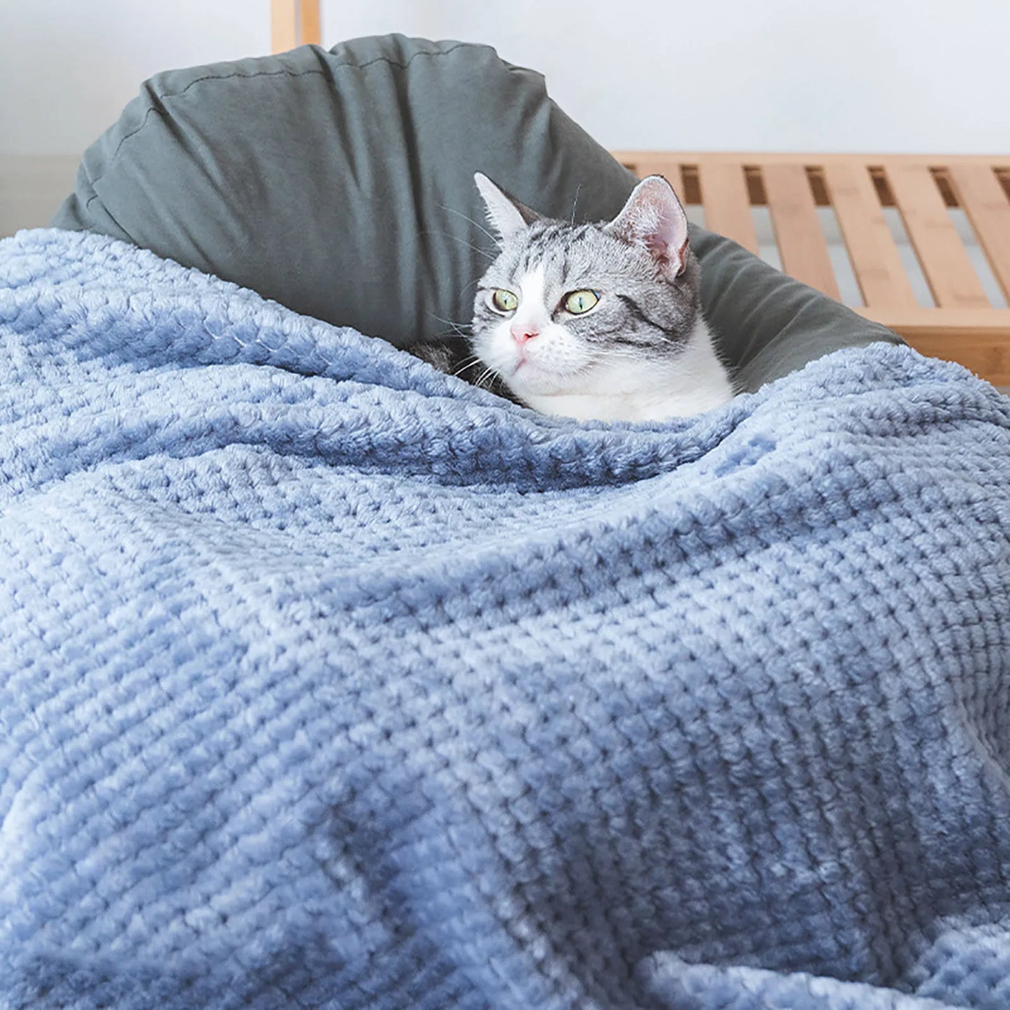 Soft Plush Pet Blanket – Washable Dog & Cat Sofa Pad