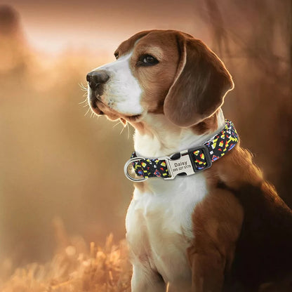 Custom Small Medium Large Dog Cat Collar Personalized Engraved Name ID Adjustable Nylon Puppy Collars Chihuahua Pug Dogs Collars