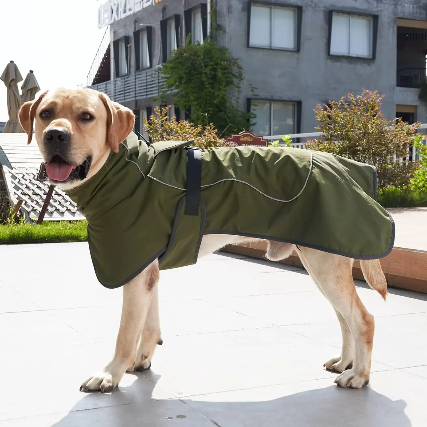 Windproof Dog Vest with Harness – Winter Coat for Small to Large Dogs
